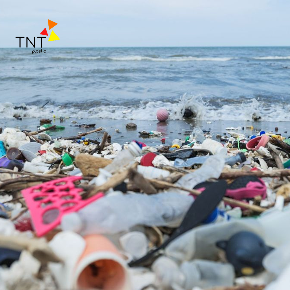 Chính phủ thúc đẩy việc giảm thiểu rác thải nhựa