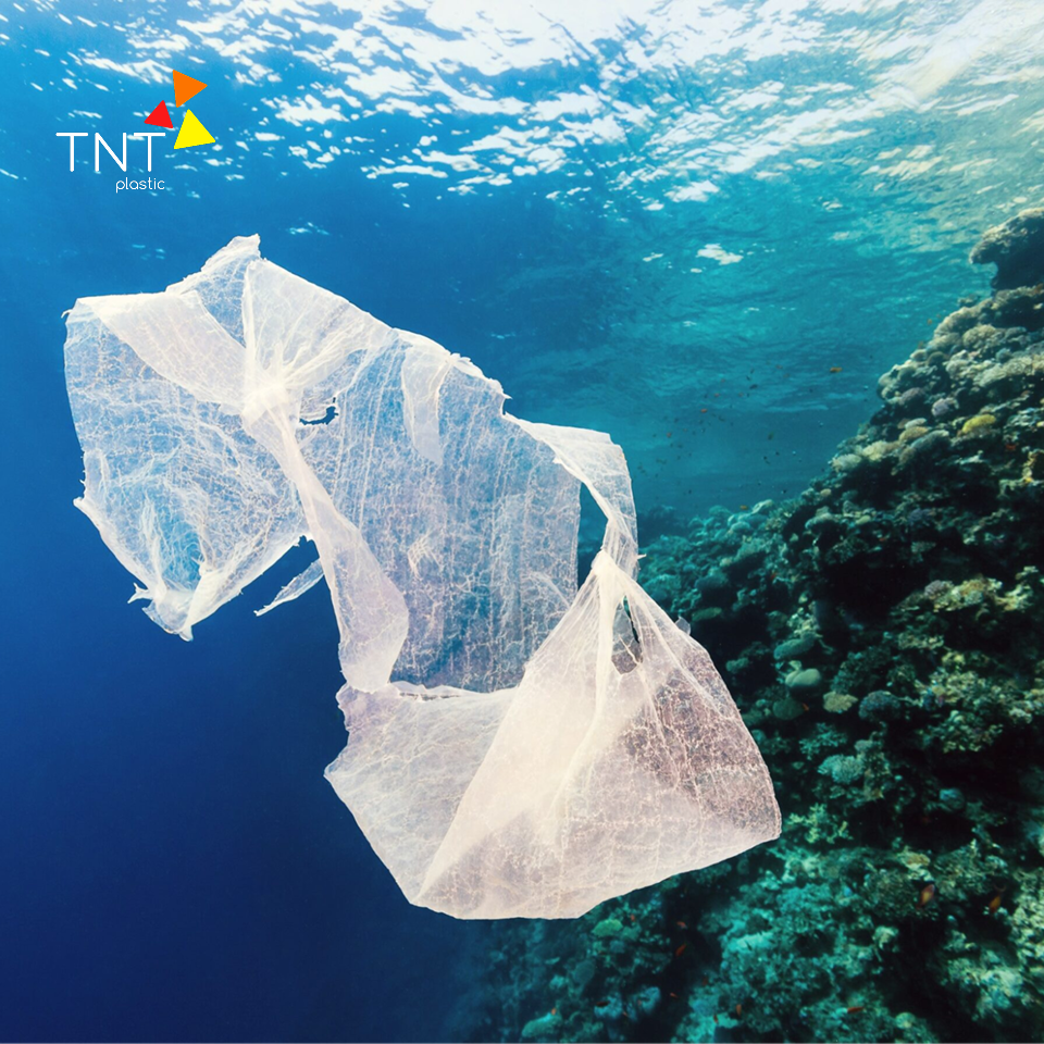 Phân hủy sinh học trong nước biển giúp giảm thiểu đáng kể lượng rác thải nhựa tích tụ
