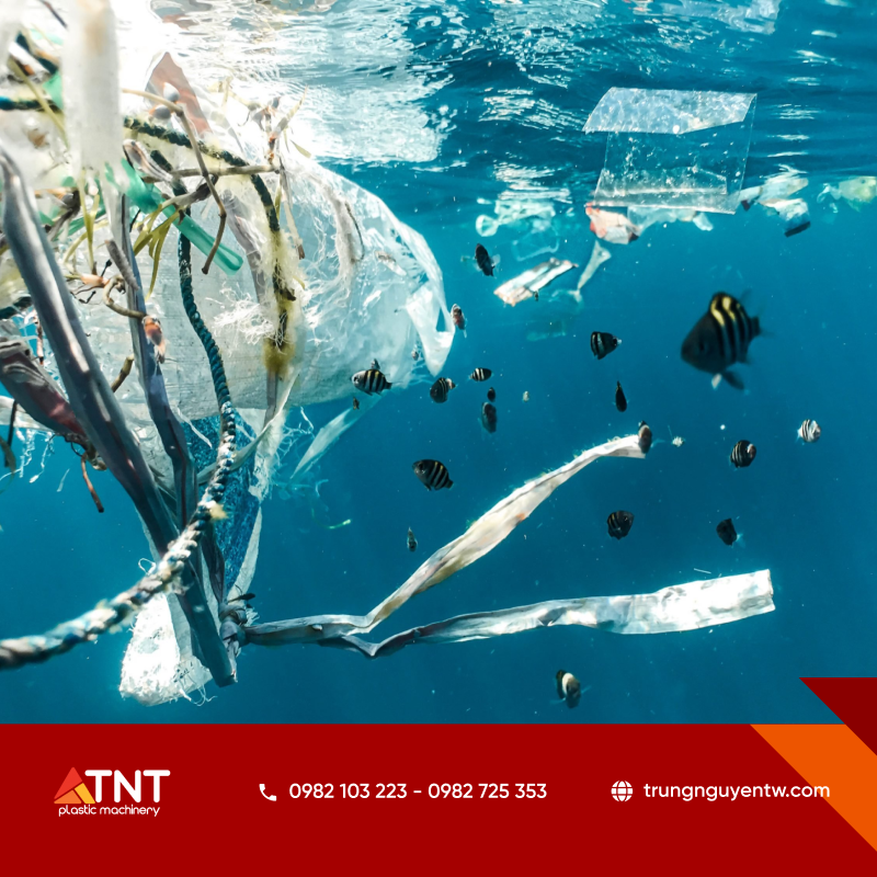 Hơn 14 triệu tấn rác thải nhựa trôi dạt ra biển mỗi năm